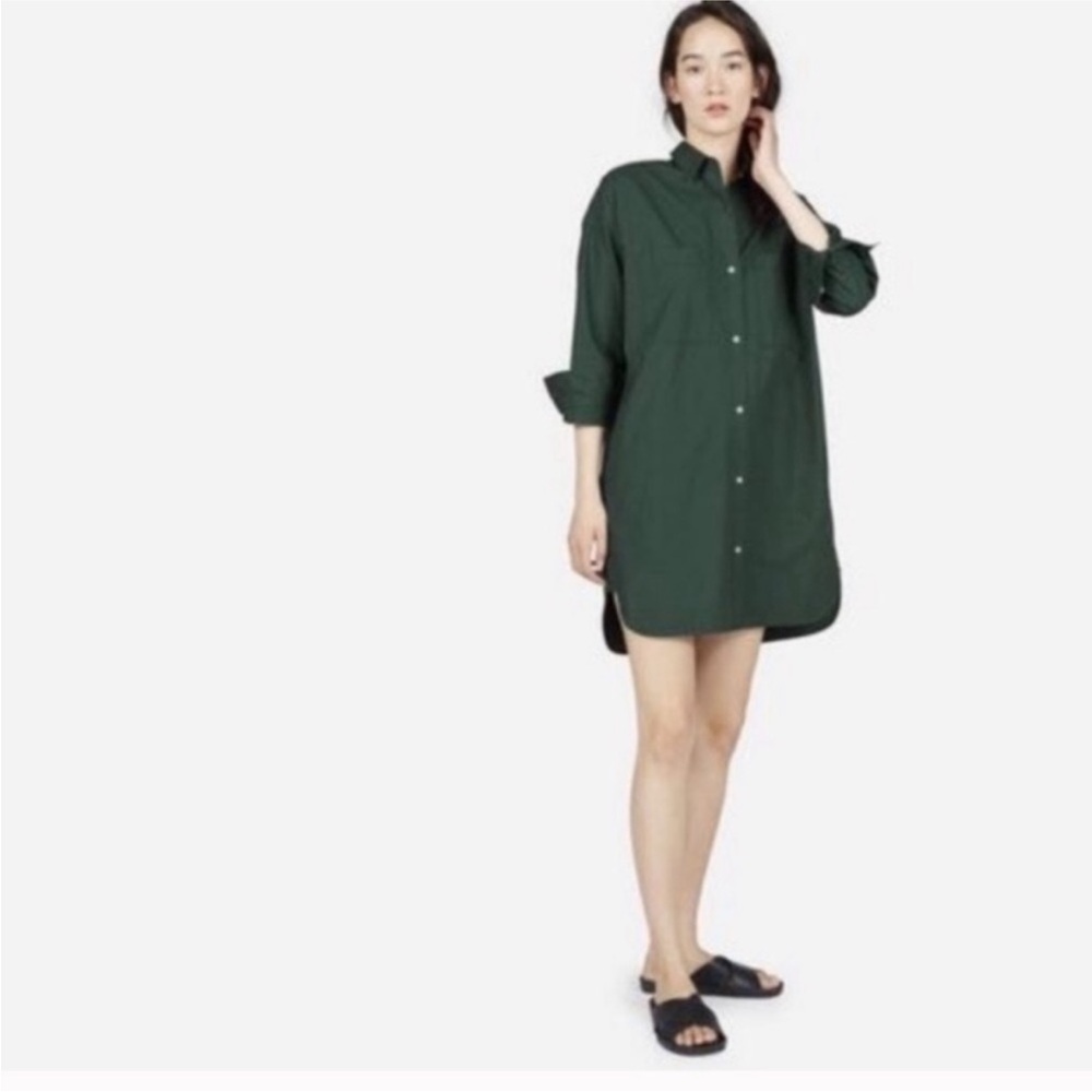 Everlane Forest Green Cotton Shirt Dress